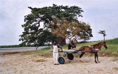 caleche