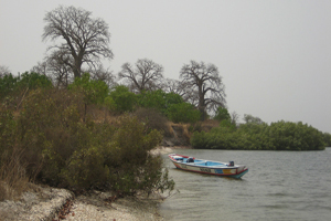 pirogue_bangaler