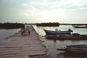 pont_pirogues